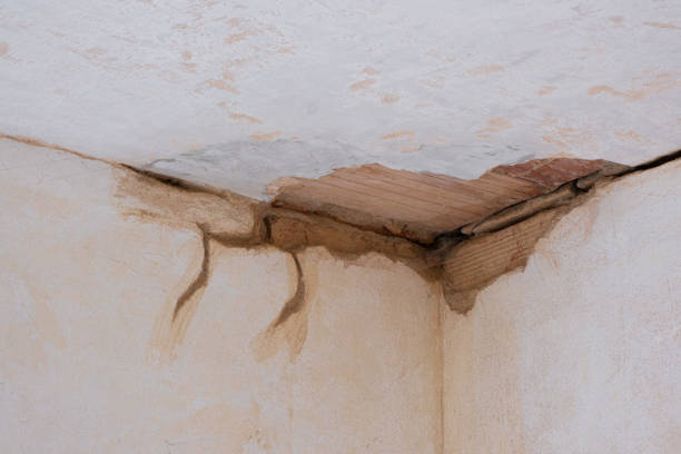 Best Flooded house restoration  in Wye, MT