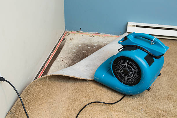 Carpet water damage restoration in Wye, MT